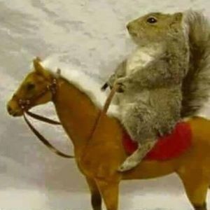 Meet your Posher, Josh